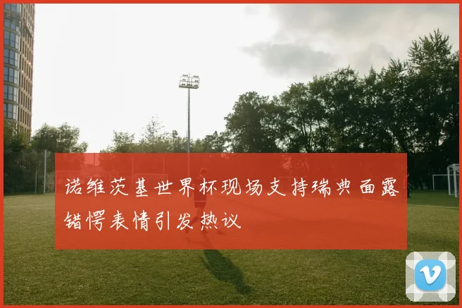 诺维茨基世界杯现场支持瑞典面露错愕表情引发热议