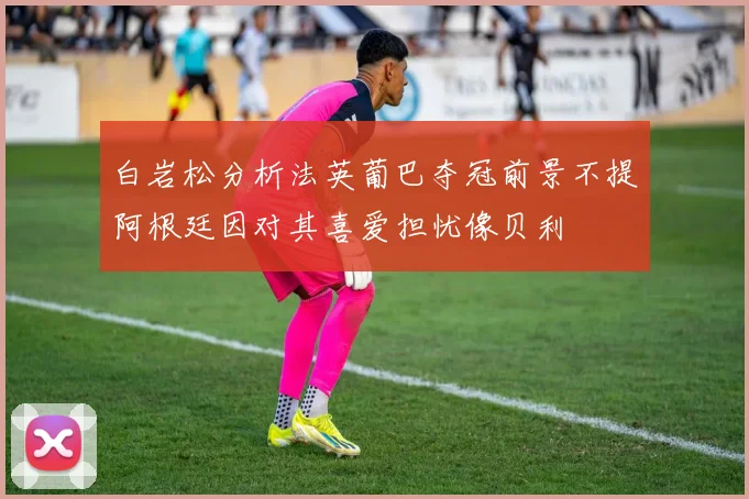 白岩松分析法英葡巴夺冠前景不提阿根廷因对其喜爱担忧像贝利