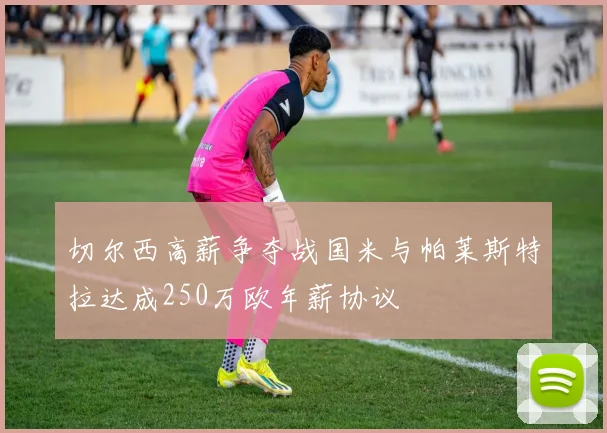 切尔西高薪争夺战国米与帕莱斯特拉达成250万欧年薪协议