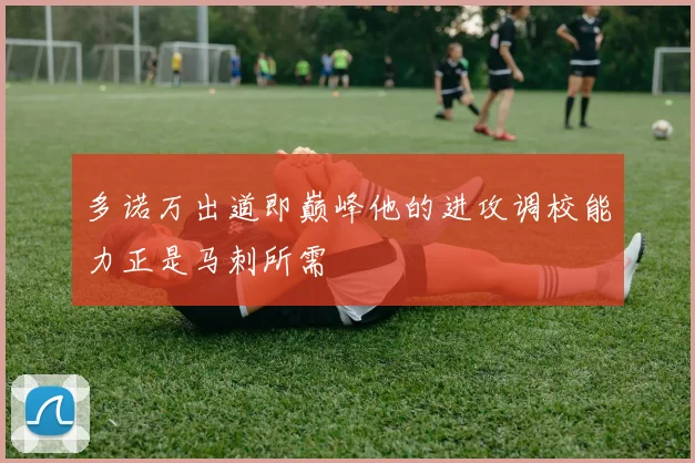 多诺万出道即巅峰他的进攻调校能力正是马刺所需